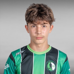 farkas_somau13