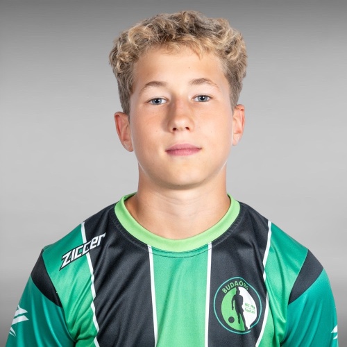 acs_zalanu13