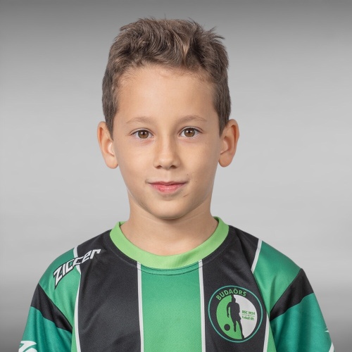 hegedus_david_alajos